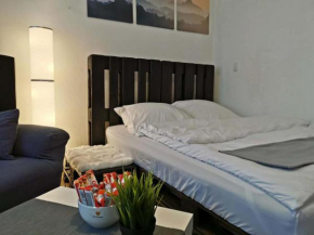 Trier City Center Apartments Altstadt